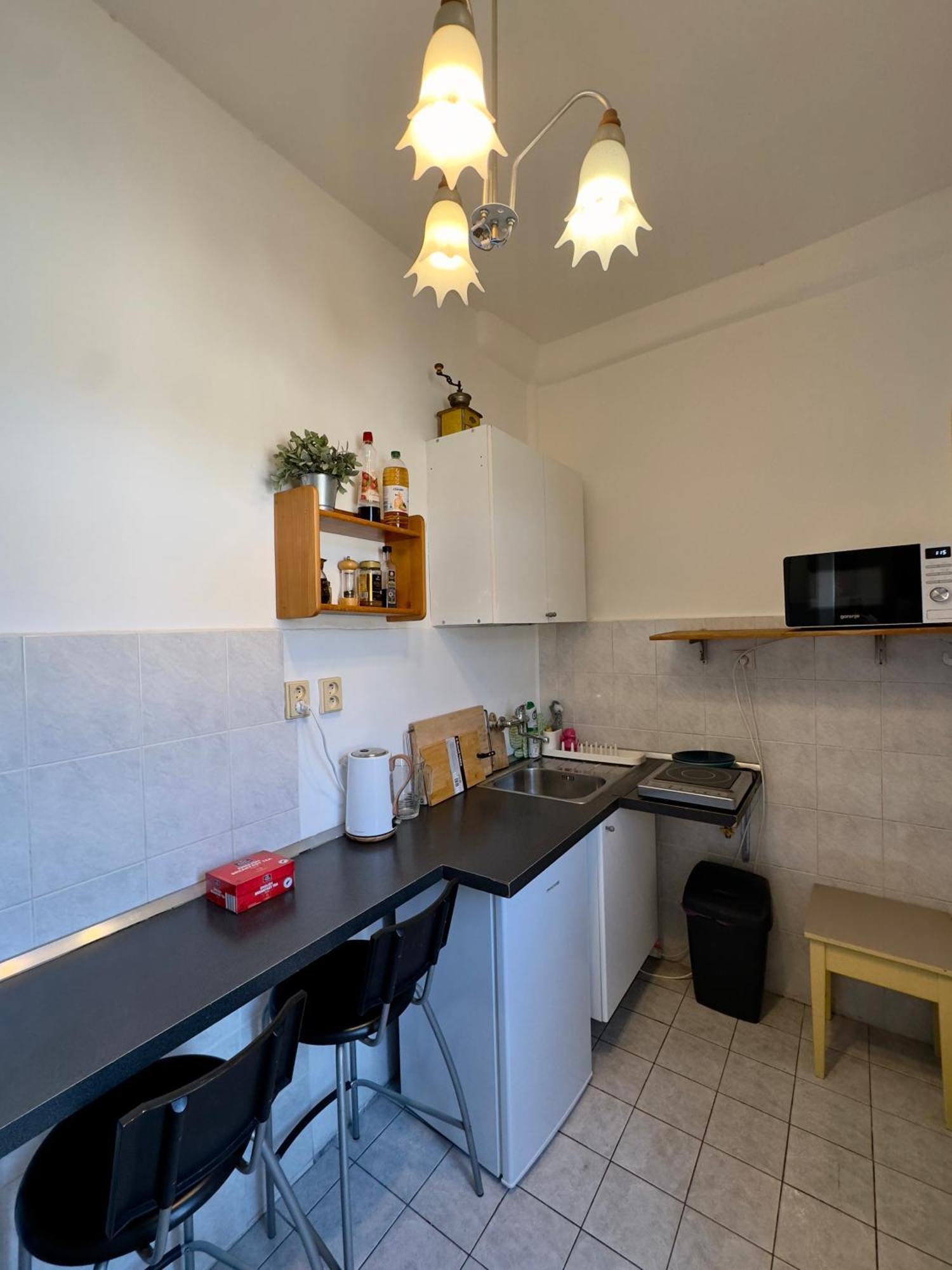 Apartment Sedlcanska - Will Save Money Here - Equipped With Antique Furniture Prag